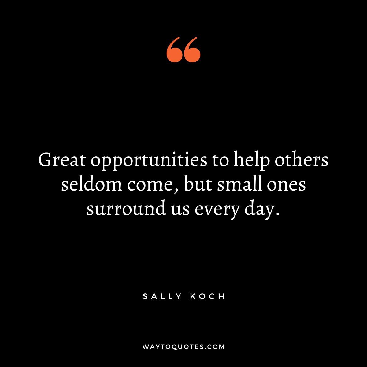 Solidarity Quotes by Sally Koch