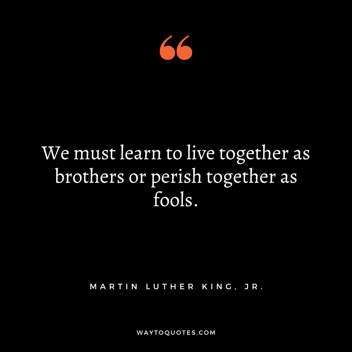 Solidarity Quotes by Martin Luther King, Jr.