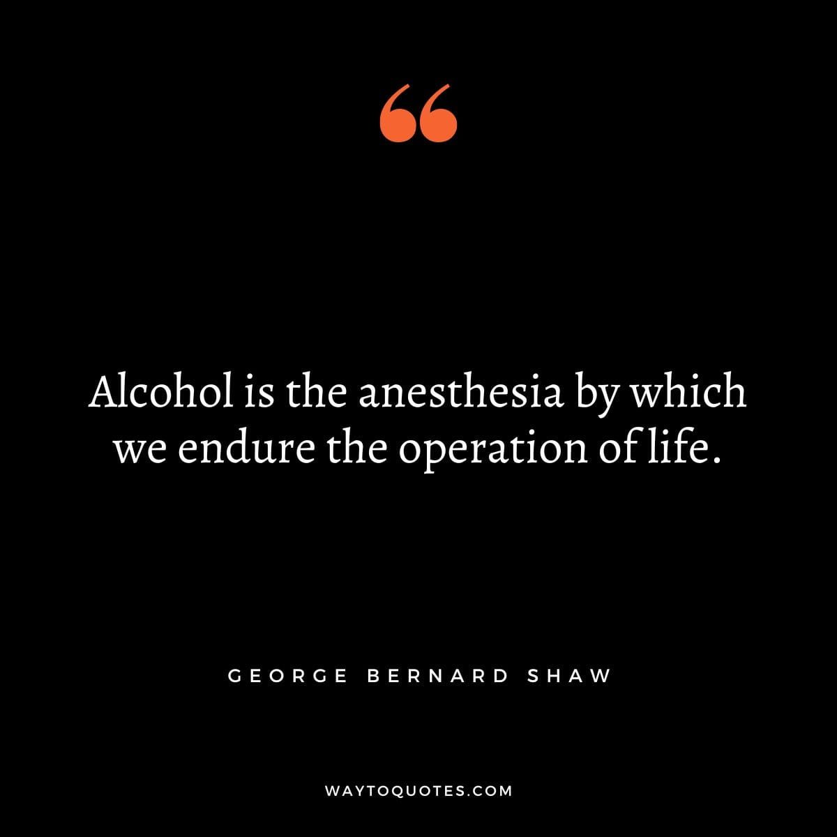 Alcohol Quotes