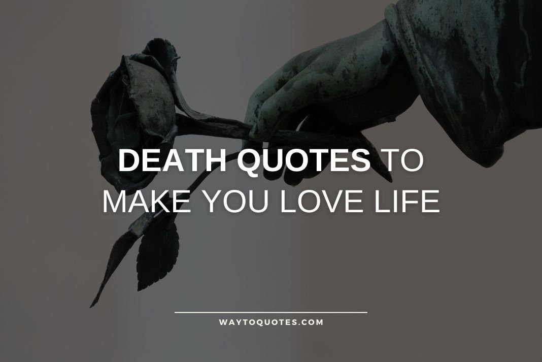 81 Death Quotes To Make You Love Life - WayToQuotes