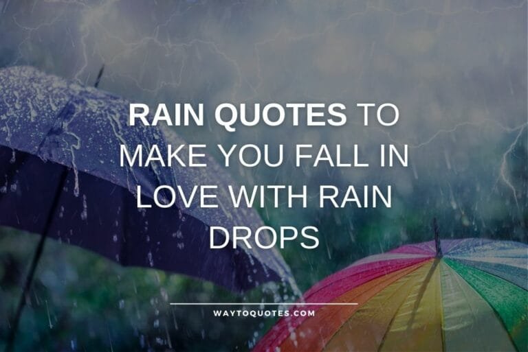 60 Rain Quotes To Make You Fall In Love With Rain Drops