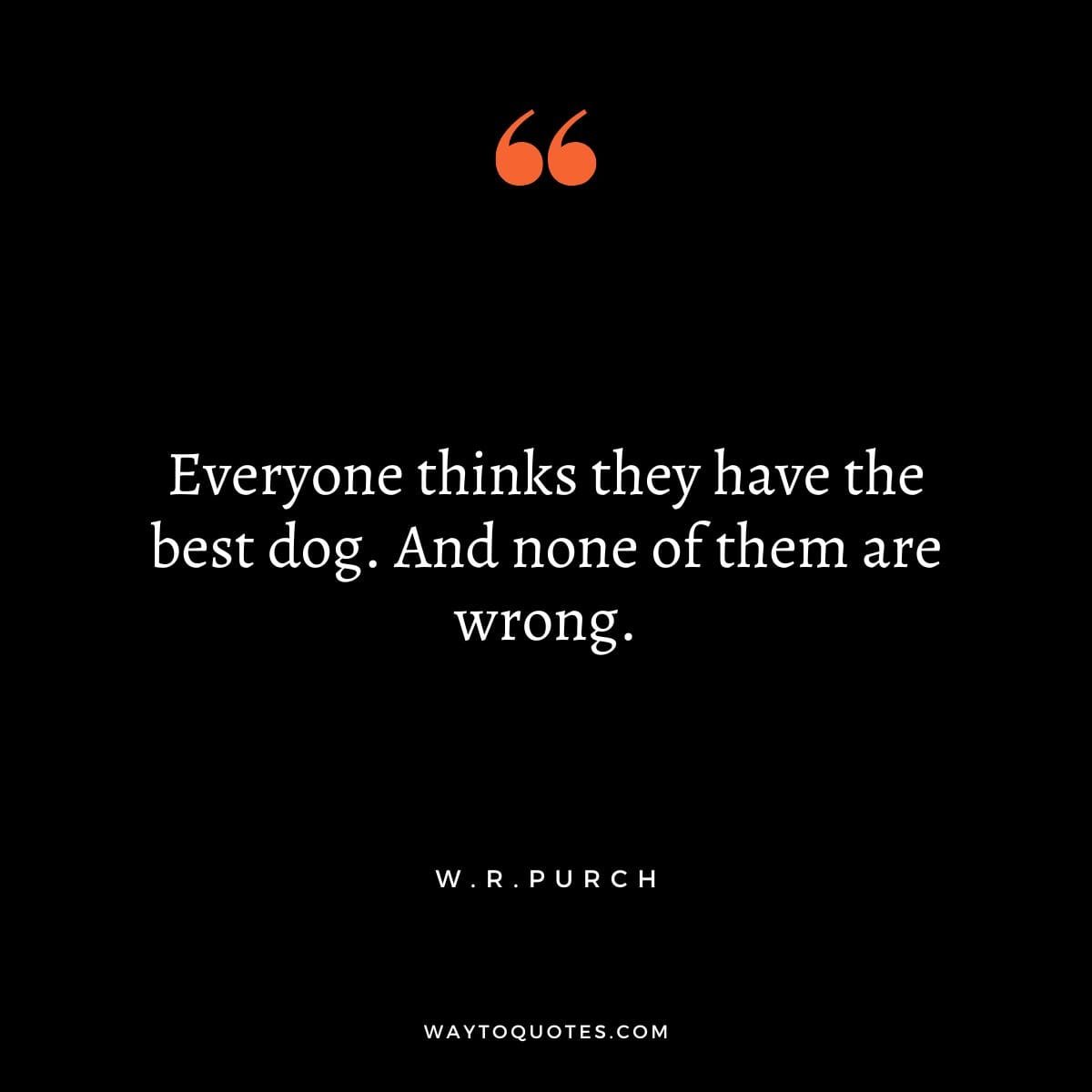 Short Dog Quotes