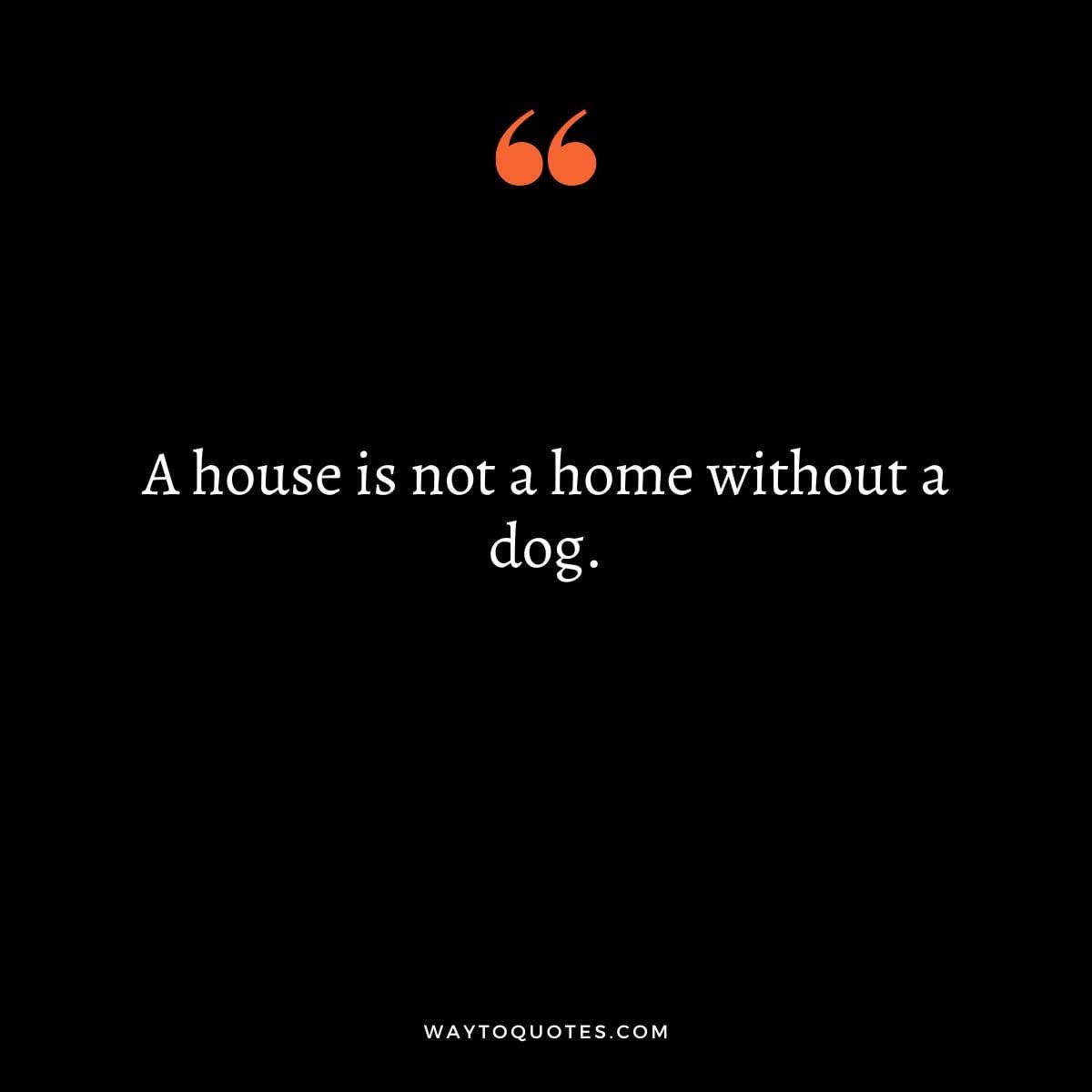 Short Dog Quotes 