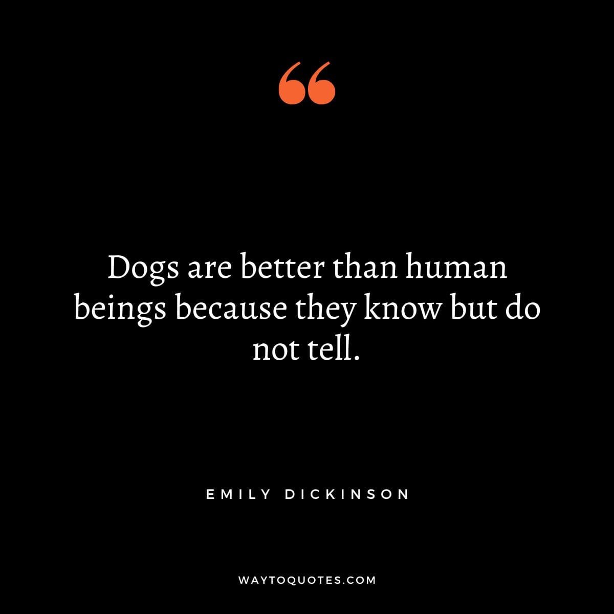 Dog Quotes 