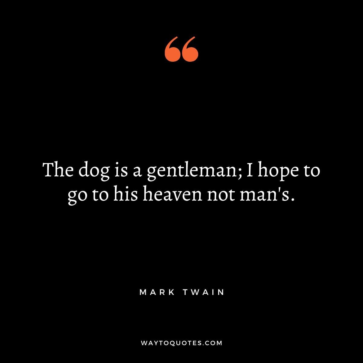 Dog Quotes