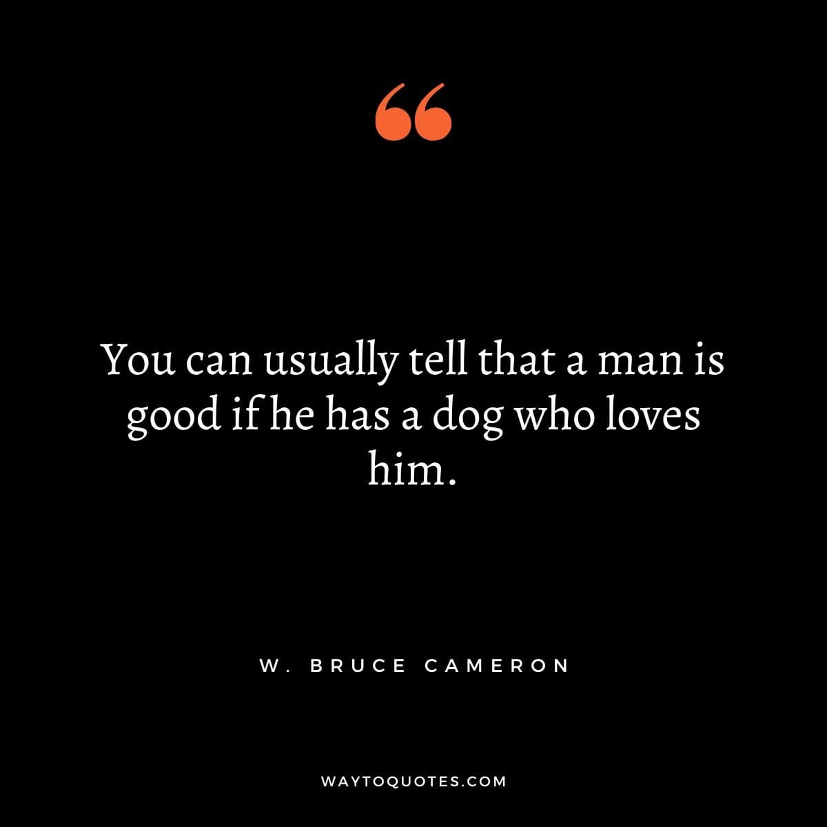 Dog Quotes