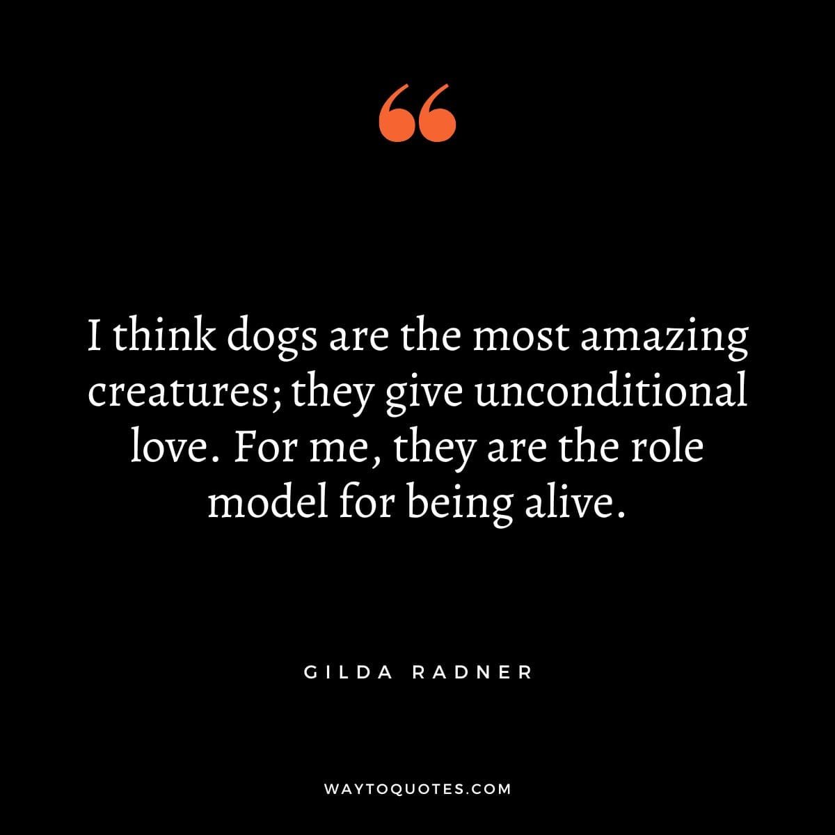 Dog Quotes