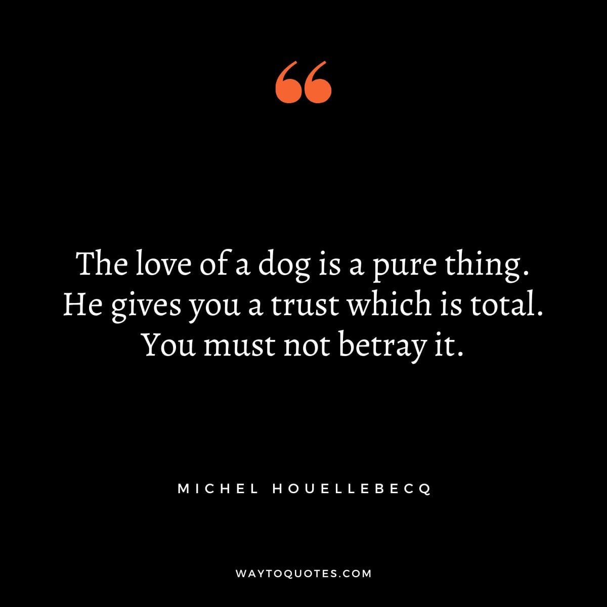 Best Dog Quotes