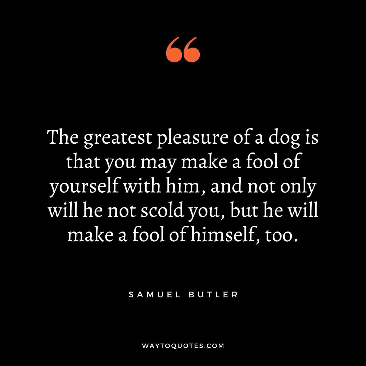 Dog Quotes