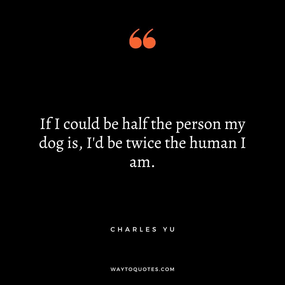 Best Dog Quotes