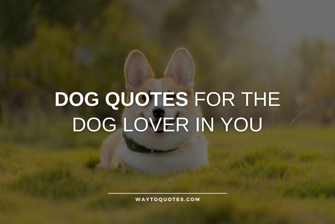 Dog Quotes