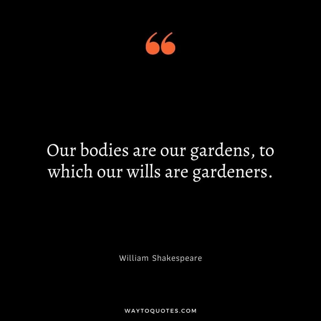 Self Care Quotes by William Shakespeare 