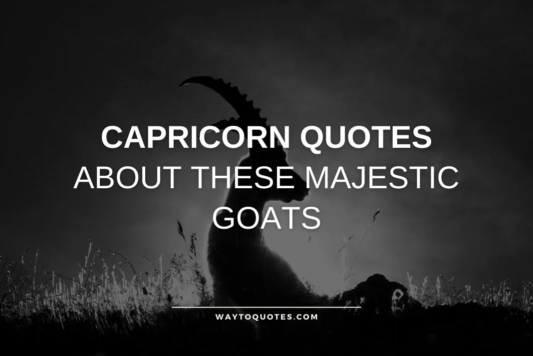 Capricorn Quotes About These Majestic Goats