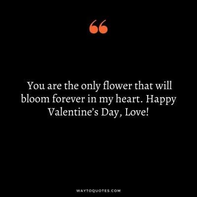 98 Valentines Day Quotes, Wishes and Messages - WayToQuotes