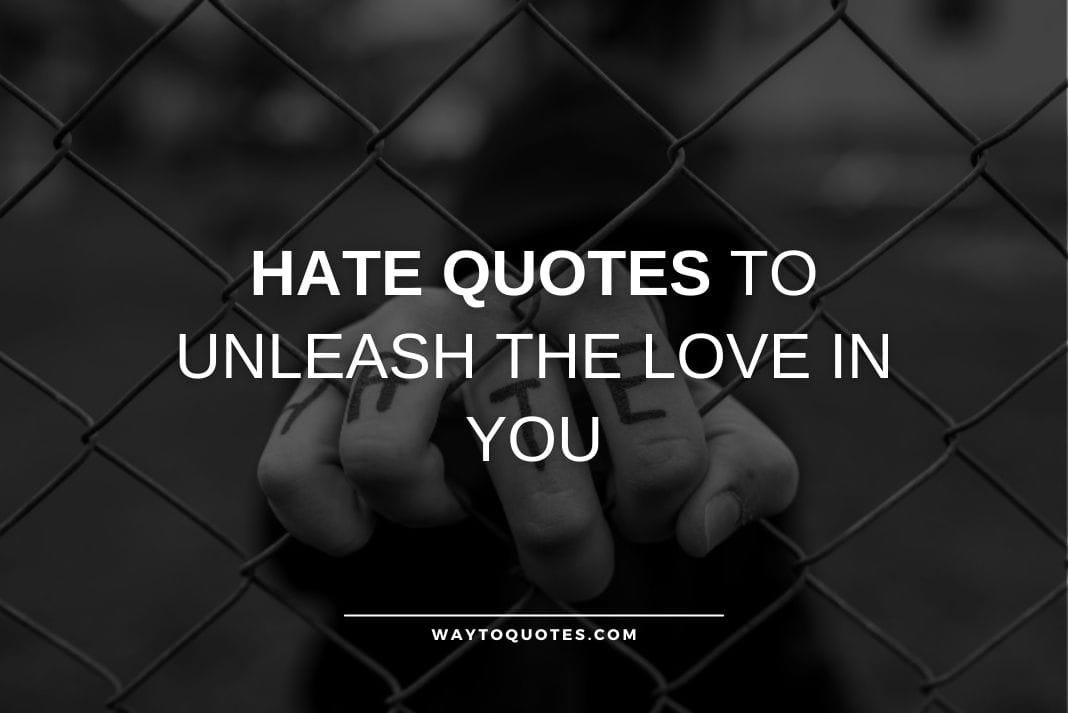 Hate Quotes