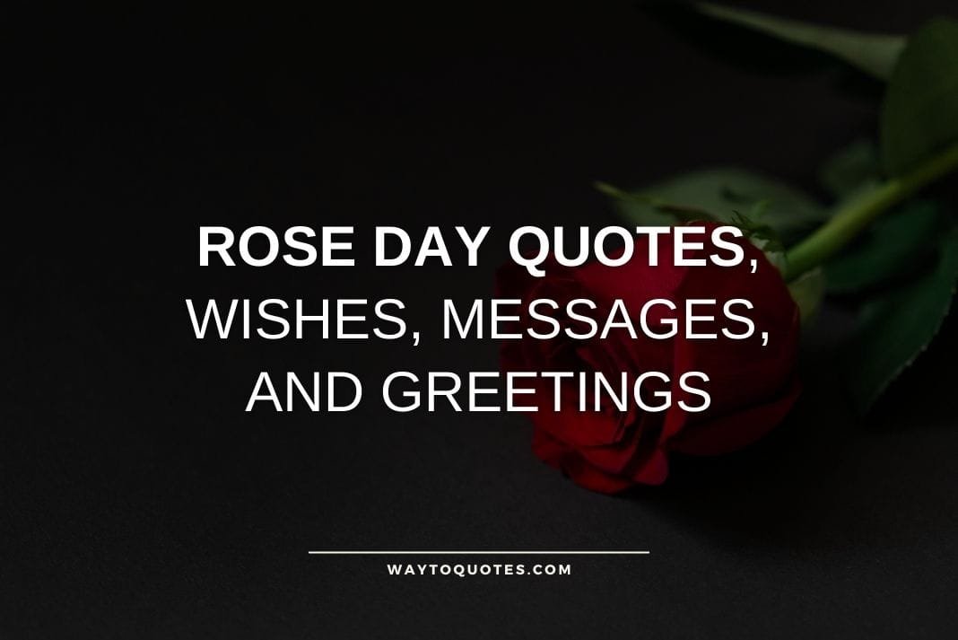 Rose Day Quotes