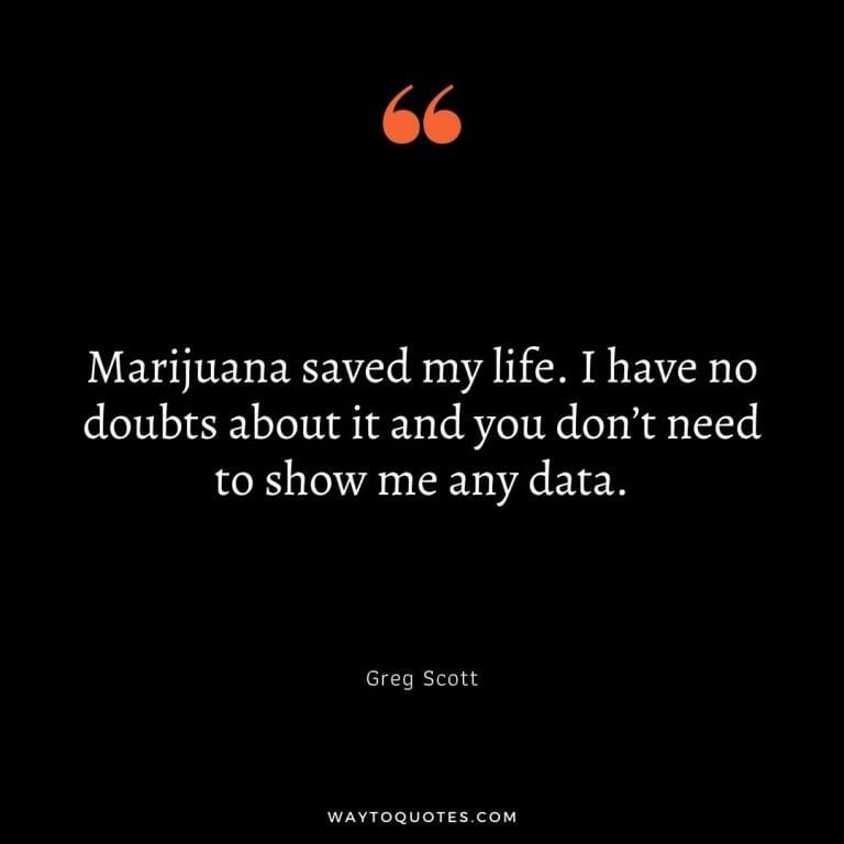 72 Stoner Quotes And Captions For Your Next High - WayToQuotes