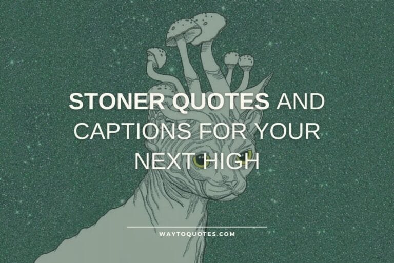 72 Stoner Quotes and Captions For Your Next High WayToQuotes