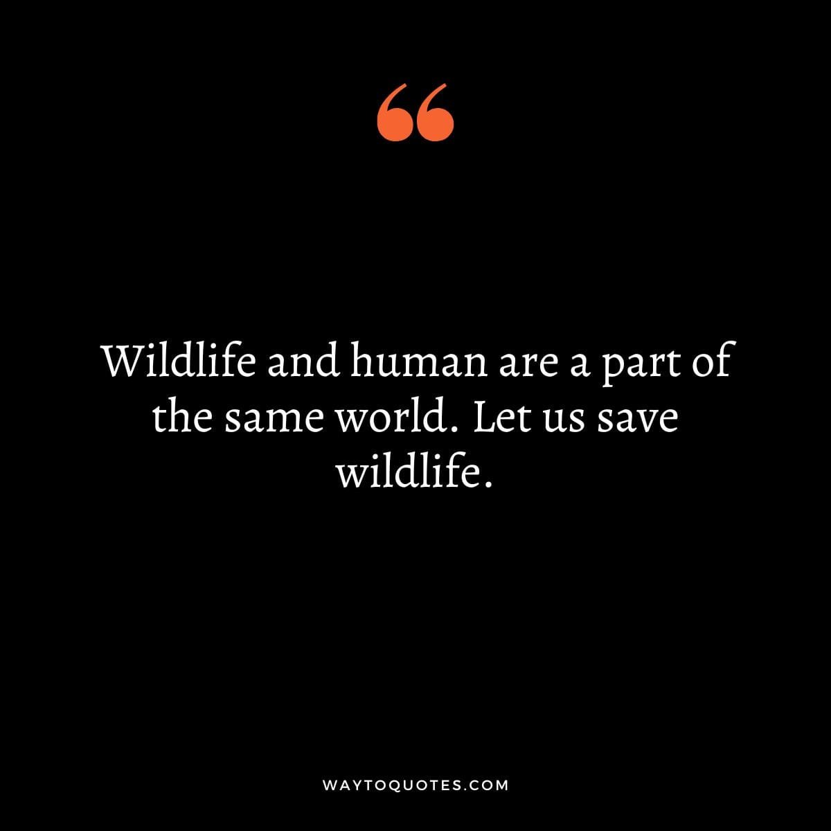 World Wildlife Day Quotes