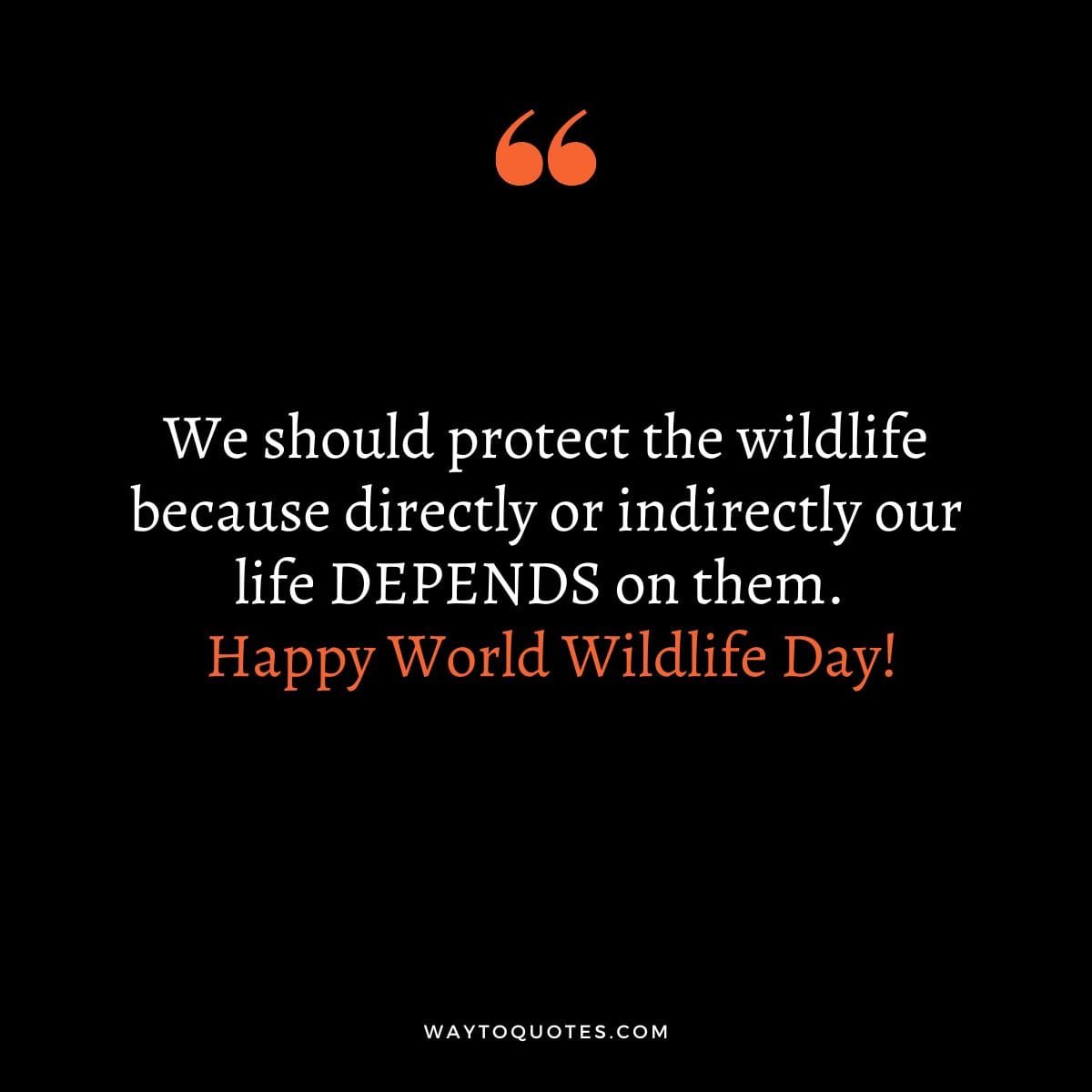 World Wildlife Day Wishes