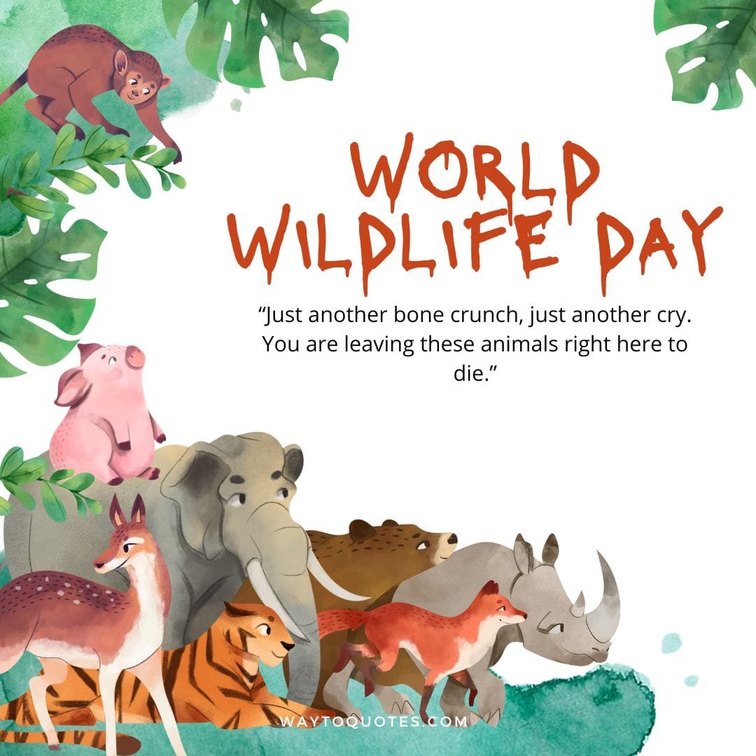 World wildlife day Wishes