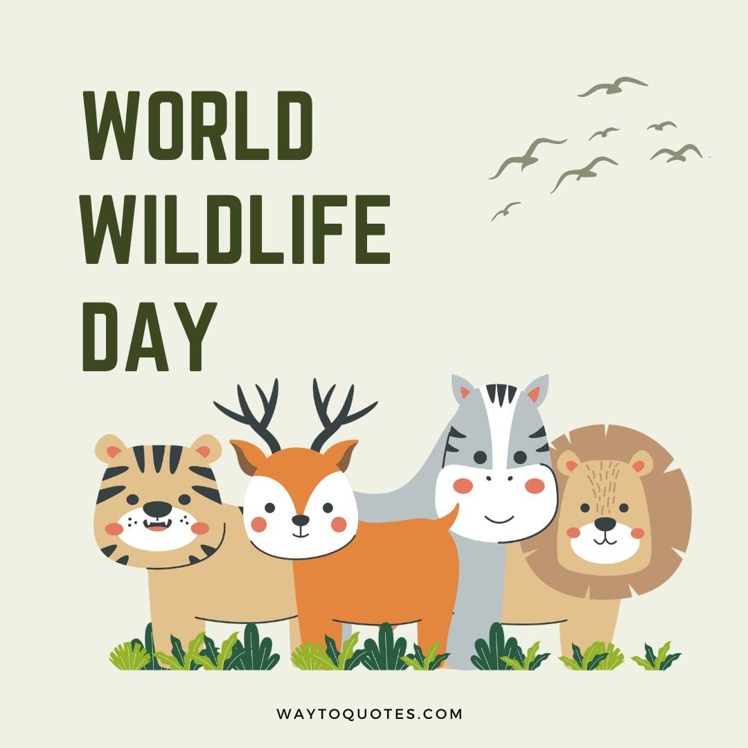 World wildlife day Wishes