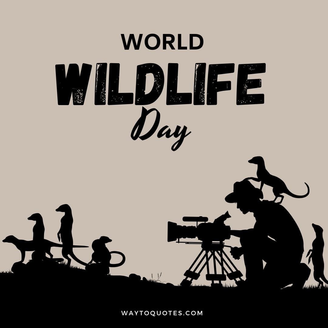 World wildlife day Wishes