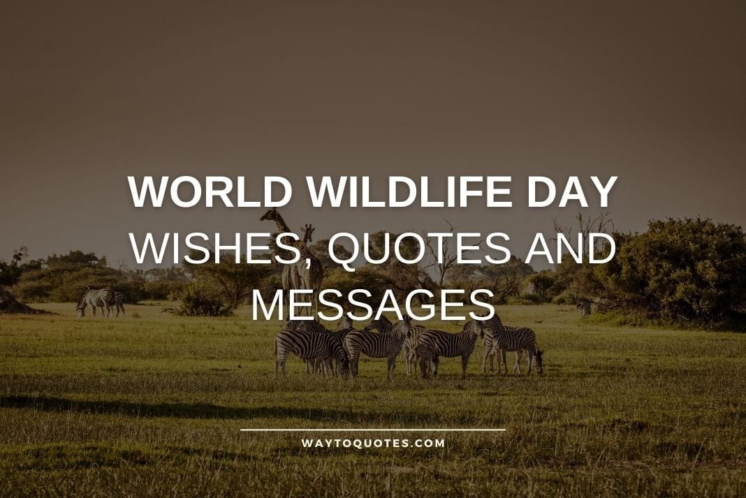 World Wildlife Day Wishes