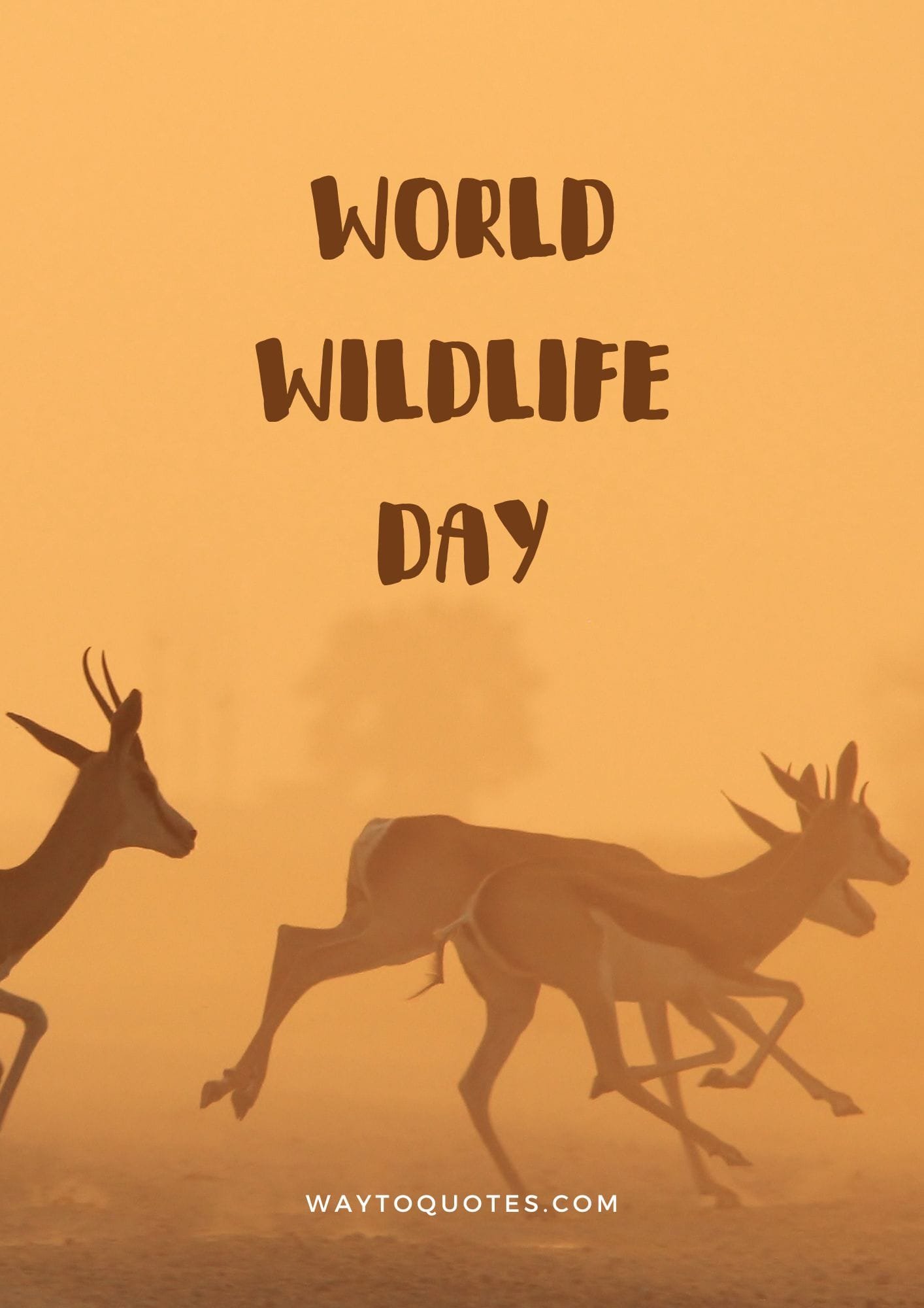 World wildlife day Wishes