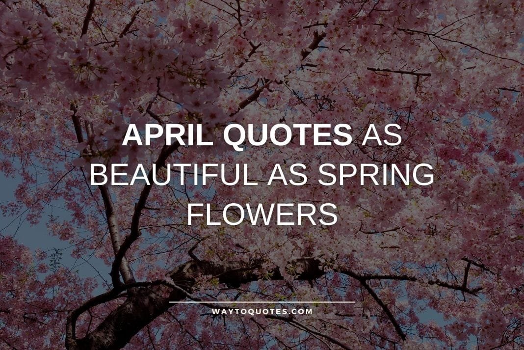 April Quotes as Beautiful as Spring Flowers