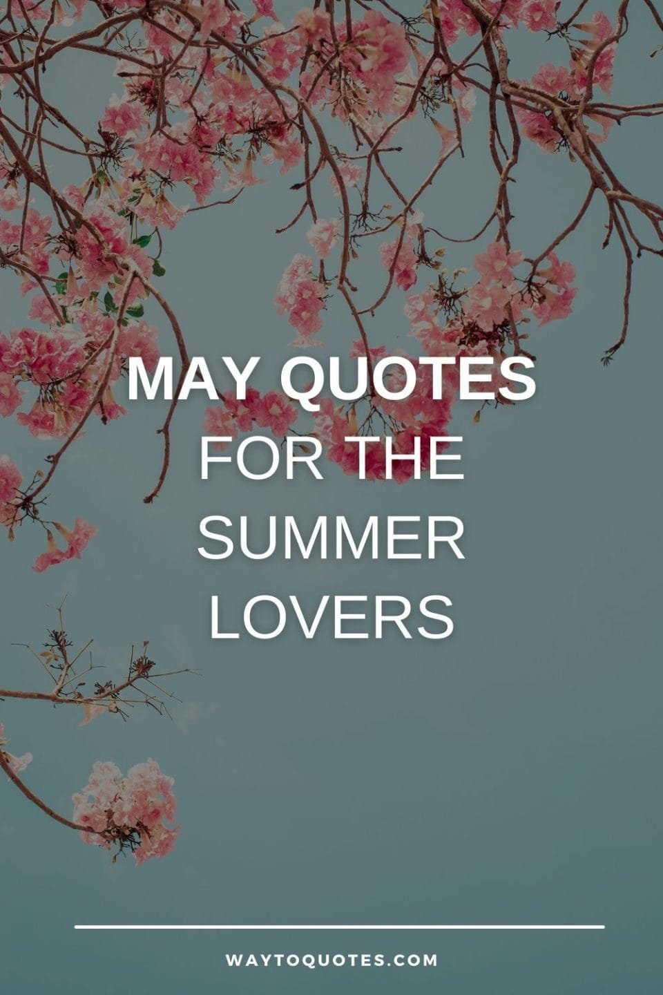 65 May Quotes for the Summer Lovers - WayToQuotes