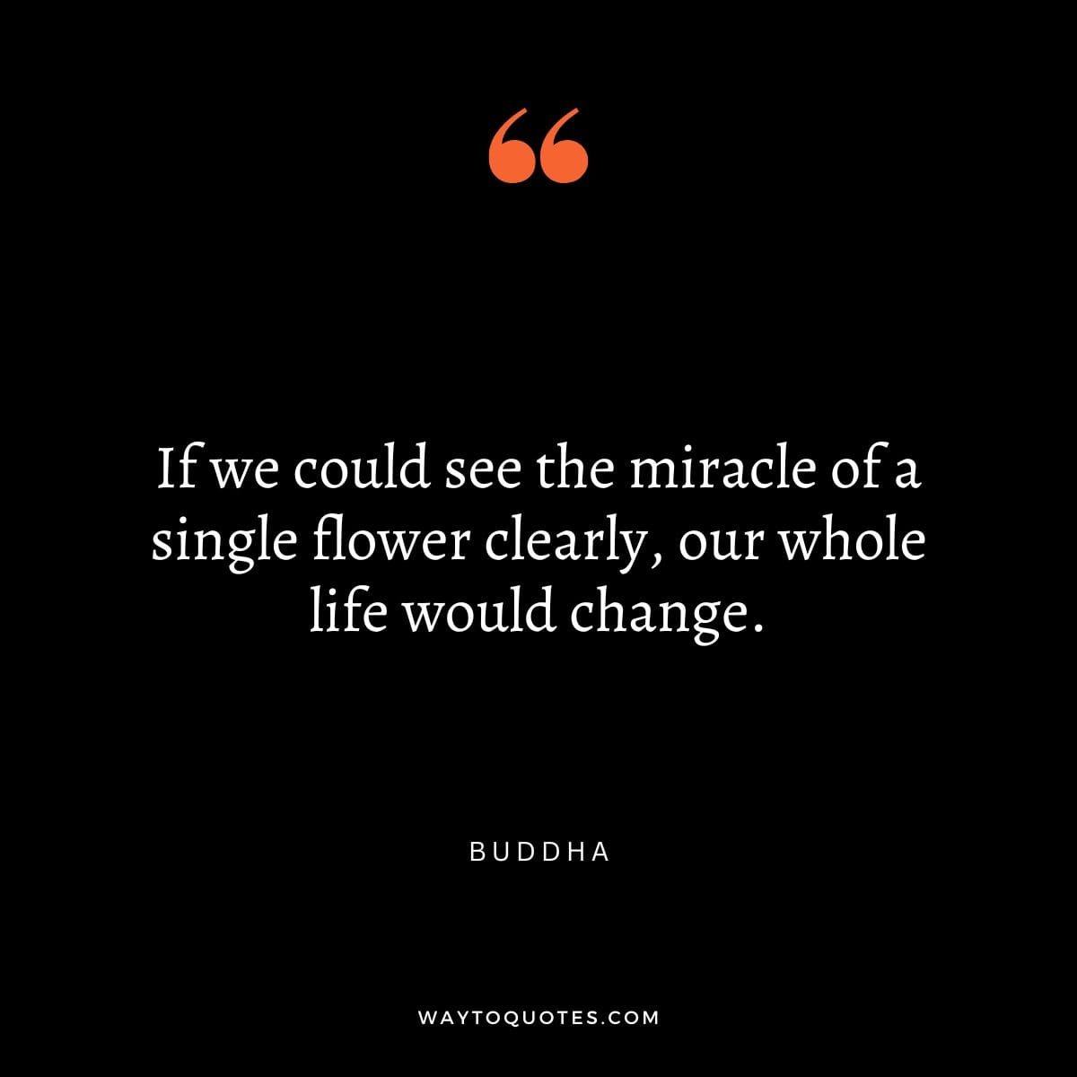 Buddha Inspirational Quotes