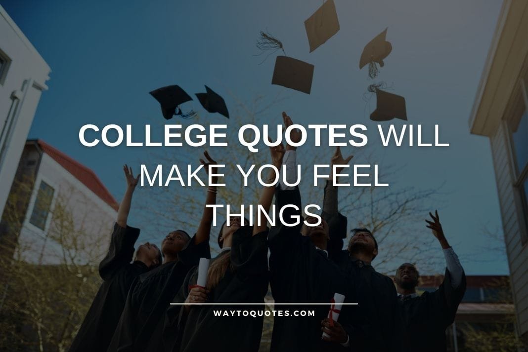 College Quotes Will Make You Feel Things