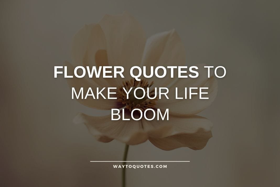 Flower Quotes