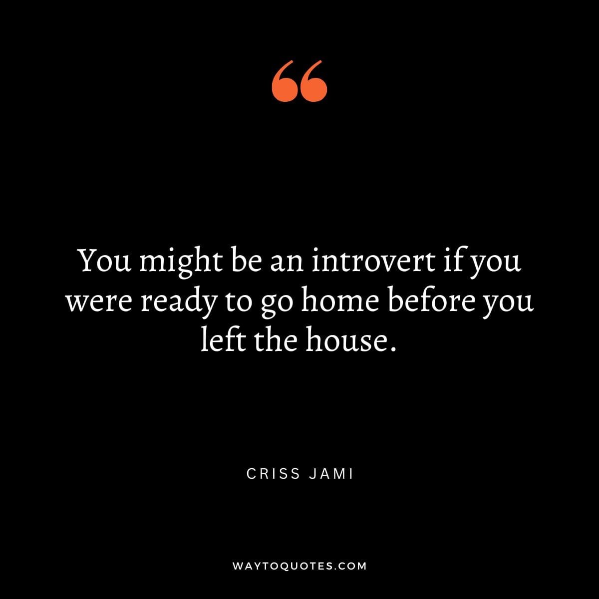 Funny Introvert Quotes