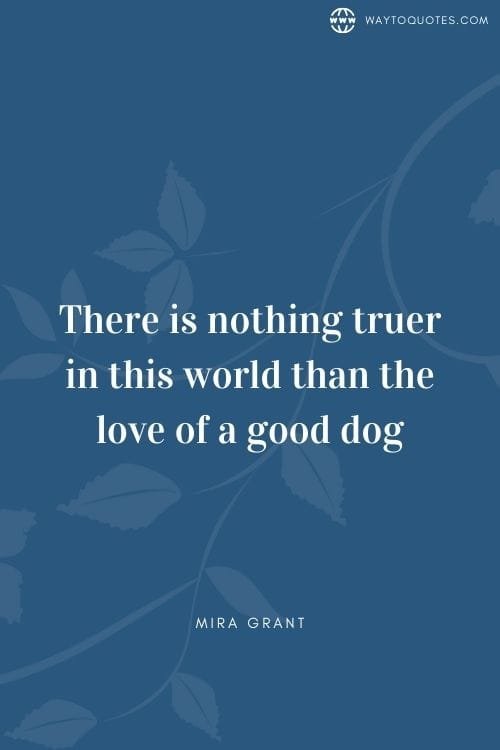 Dog Parent Quotes