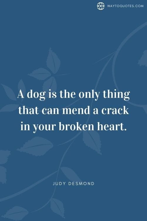 Dog Parent Quotes