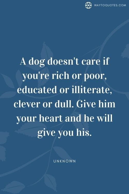 Dog Mom Quotes