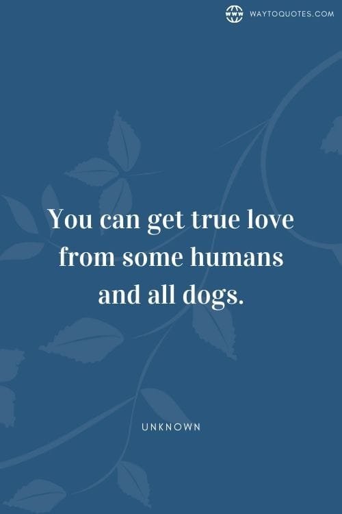 Dog Mom Quotes