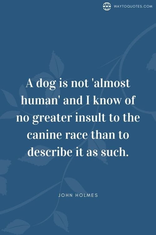 Dog Dad Quotes