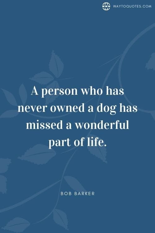 Dog Dad Quotes